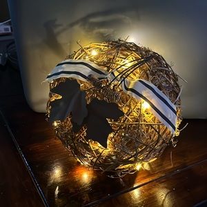 Wired light up pumpkin